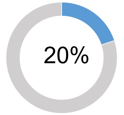 20%.jpg